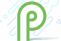 Android P is available for developer testing - The Verge