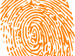 Fingerprint Clipart 18 - 338 X 450 | carwad.net
