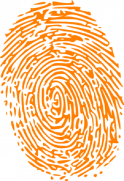Orange Fingerprint Clip Art at Clker.com - vector clip art ...