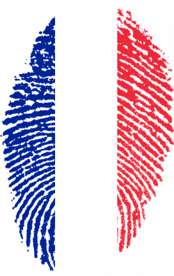 France Flag PNG Transparent Free Images | PNG Only