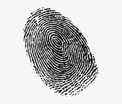Fingerprint Clipart #835335 - Free Cliparts on ClipartWiki