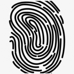 Fingerprint Clipart Clear Background - Simple Fingerprint ...