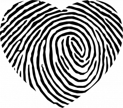 Fingerprint Heart Shape Svg Png Icon Free Download (#35452 ...