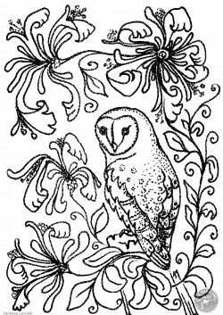 Owl On Tree Branch Drawing at GetDrawings.com | Free for personal ...