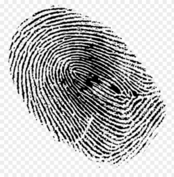 fingerprint png PNG image with transparent background | TOPpng