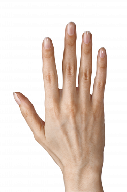 Hand Showing Five Fingers PNG Clipart Image | Gallery Yopriceville ...