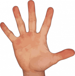 finger png - Free PNG Images | TOPpng