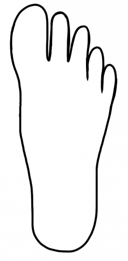 Feet Clipart Hand Foot#3522965