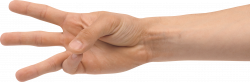 Three Finger Hand PNG Image - PurePNG | Free transparent CC0 PNG ...