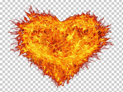Flame Portable Network Graphics Fire Combustion PNG, Clipart ...