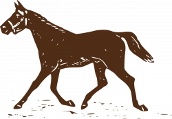 Trotting Horse Icons PNG - Free PNG and Icons Downloads