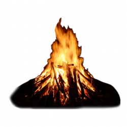 Real Bonfire Fire, Fire, Flame, Effect PNG and Vector for Free Download