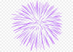 Fireworks Clip art - Purple Firework Transparent PNG Image ...
