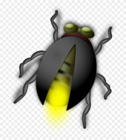 Attacked By Fireflies - Bug Clip Art - Png Download ...