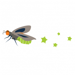 Our Firefly Has a Name! — Firefly Craft Gallery