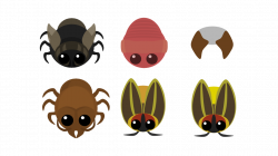 Fly, Earthworm, Soldier Ant and firefly (for the small animal mode ...