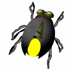 Beetle Firefly Clip art - Lovely firefly Download 1654*1654 ...
