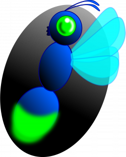 Clipart - Firefly