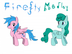 Firefly and Medley by Greywander87 on DeviantArt