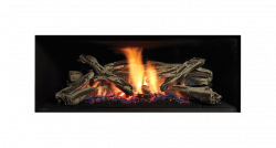 Gas Fireplace NZ | Regency Gemfire Indoor Series