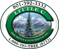 Affordable and Quality Firewood Ogden, UT | Little C Tree Service