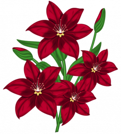 Nice Red PNG Poinsettia Clipart. | позитивный скрапбукинг. Картинки ...