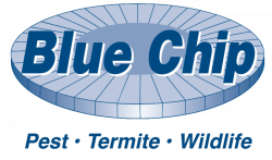 Pest-Free Firewood. 'Tis the Season for Mice. Blue Chip Gives Thanks ...