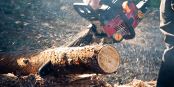 Splitting Firewood- How to Split Wood