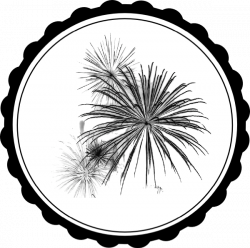 Fireworks Clip Art at Clker.com - vector clip art online, royalty ...