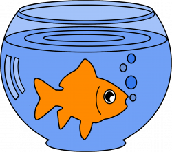 Common goldfish Bowl Clip art - goldfish 1414*1252 transprent Png ...