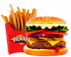 Texas Chicken and Burgers: Best Fried Chicken & Burgers