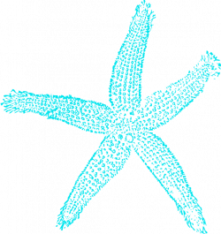 Star Fish Turquoise 00e5ee Clip Art at Clker.com - vector clip art ...