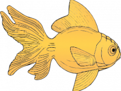 Gold Fish Clipart animals that swim - Free Clipart on ...