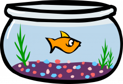 19 Fishbowl clipart HUGE FREEBIE! Download for PowerPoint ...