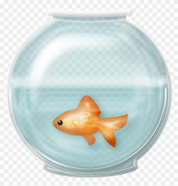 Fish Bowl Clip Art - Fish In Fishbowl Clipart, HD Png ...