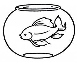 Fish bowl goldfish clipart - Clipartix