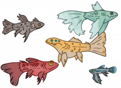 fish bowl monsters- offer to adopt (OTA) by draggon-rider2 on DeviantArt
