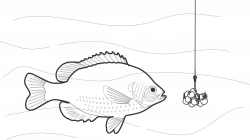 Fishing Lure Drawing at GetDrawings.com | Free for personal use ...