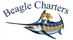 Beagle Charters : Morehead City Fishing Charters, Atlantic ...