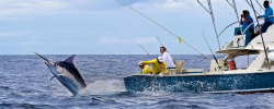 Deep Sea Charter Fishing Trips for Less | Share A Fishing ...
