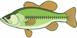19 Bass clipart fishing derby HUGE FREEBIE! Download for PowerPoint ...