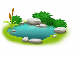 19 Pond clipart pool HUGE FREEBIE! Download for PowerPoint ...