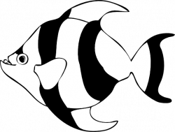Tropical Fish Clip Art Black And White | Clipart Panda ...
