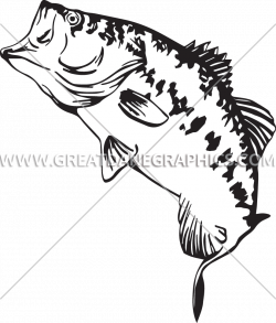 Large Mouth Bass Drawing at GetDrawings.com | Free for personal use ...