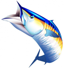 Sport Fish Clipart | Saltwater Sport Fish Illustrations ...
