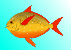 Fishing clipart, Suggestions for fishing clipart, Download fishing ...