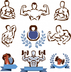 Fitness Centre Physical fitness Weight training Clip art - Fitness ...