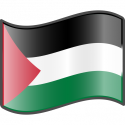 Wave, palestinian, palestine flag png #38269 - Free Icons and PNG ...
