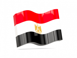 Wave icon. Illustration of flag of Egypt