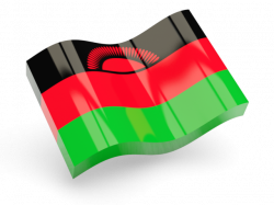 Glossy wave icon. Illustration of flag of Malawi